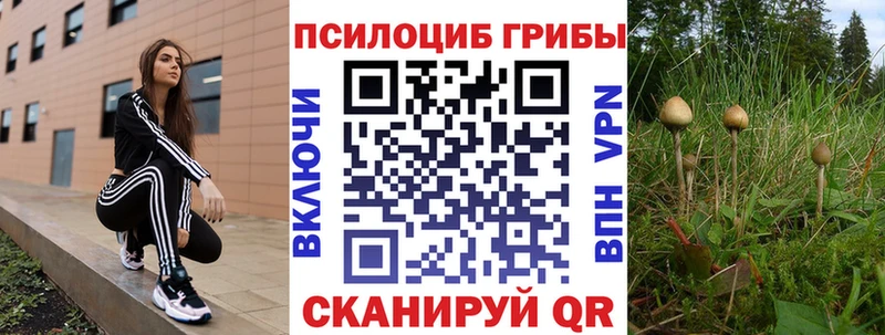 Галлюциногенные грибы Psilocybine cubensis  Советская Гавань 